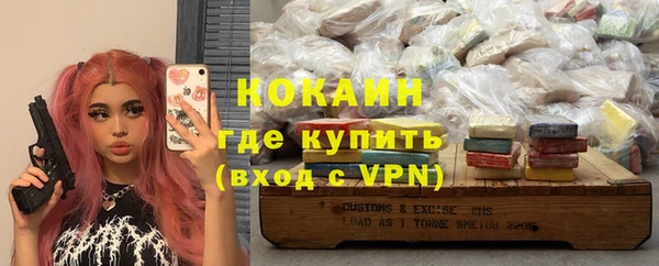 индика Балахна
