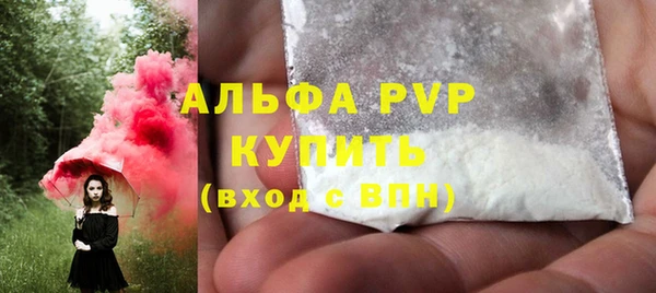 индика Балахна