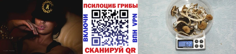 Псилоцибиновые грибы GOLDEN TEACHER  Бодайбо 